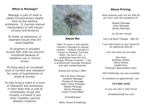 Massage Therapy Brochures