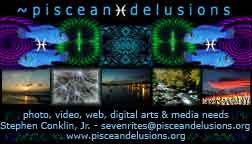 ~piscean )-( delusions business card v.2