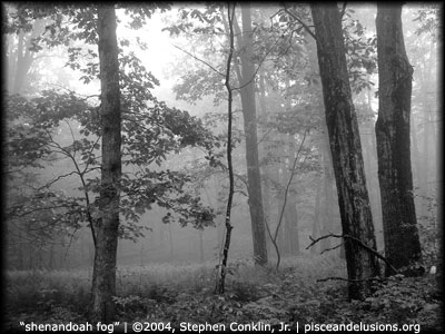 "shenandoah fog" | &copy;2004, Stephen Conklin, Jr. | www.pisceandelusions.org