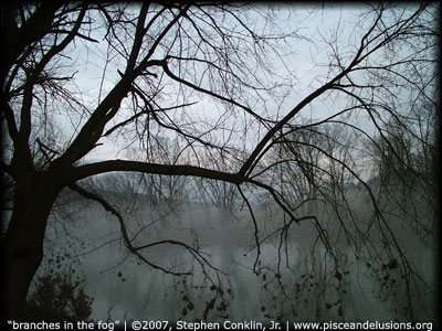Branches in the Fog, by Stephen Conklin, Jr., pisceandelusions.org
