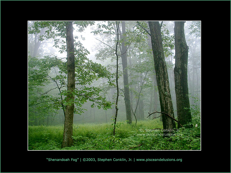Shenandoah Fog, by Stephen Conklin, Jr. - www.pisceandelusions.org