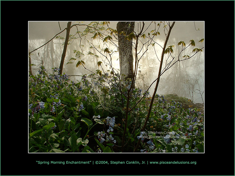 Spring Morning Enchantment, by Stephen Conklin, Jr. - www.pisceandelusions.org