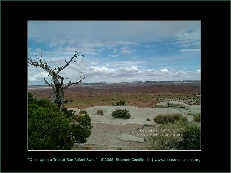 Once Upon a Tree at San Rafael Swell, by Stephen Conklin, Jr. - www.pisceandelusions.org