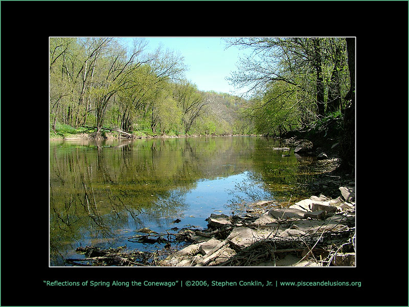 Reflections of Spring Along the Conewago, by Stephen Conklin, Jr. - www.pisceandelusions.org