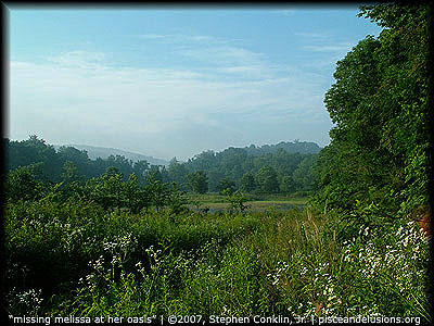 "Missing Melissa at Her Oasis" | &copy;2007, Stephen Conklin, Jr. | www.pisceandelusions.org