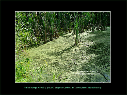 The Swampy Abyss, by Stephen Conklin, Jr. - www.pisceandelusions.org