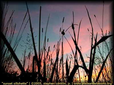 "sunset sillohette" | &copy;2005, Stephen Conklin, Jr. | www.pisceandelusions.org
