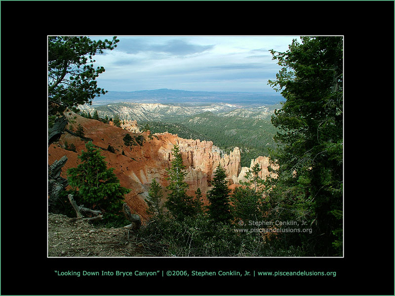 Looking Down Into Bryce Canyon Looking Down Into Bryce Canyon