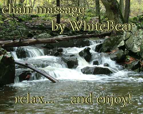 Chair Massage Sign for WhiteBear Energies, Professional Massage in Harrisburg, PA