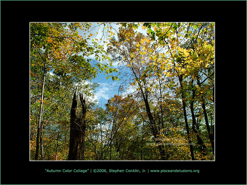 Autumn Color Collage, by Stephen Conklin, Jr - www.pisceandelusions.org