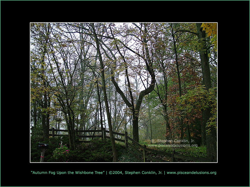 Autumn Fog Upon the Wishbone Tree, by Stephen Conklin, Jr. - www.pisceandelusions.org