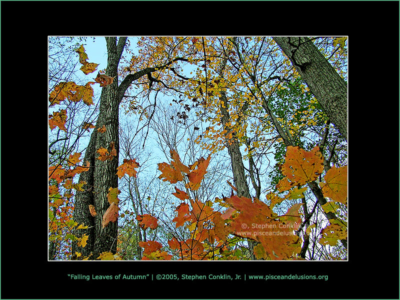 Falling Leaves of Autumn, by Stephen Conklin, Jr. - www.pisceandelusions.org