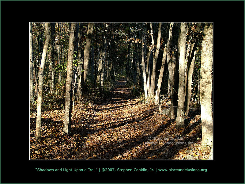 Shadows and Light Upon a Trail, by Stephen Conklin, Jr. - www.pisceandelusions.org