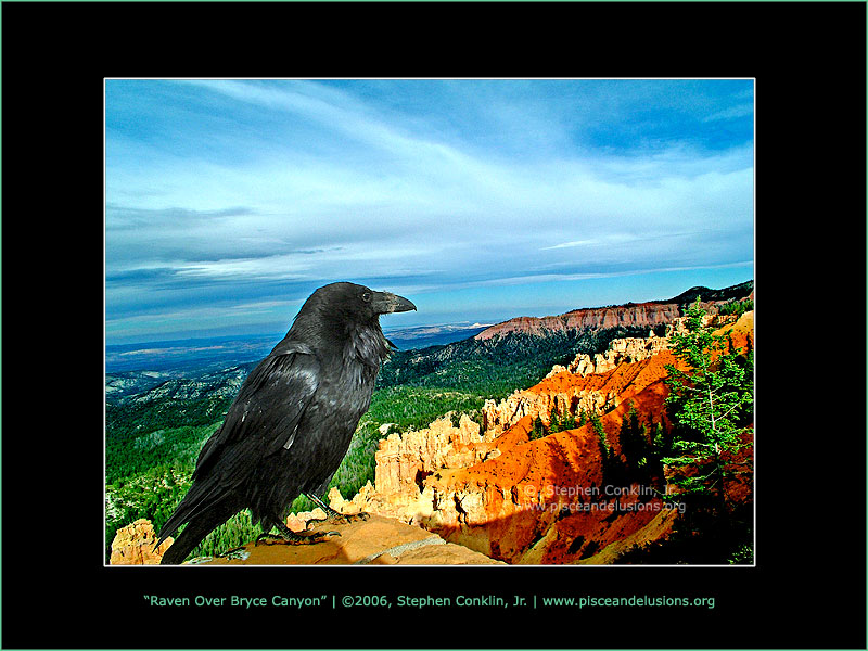 Raven Over Bryce Canyon, Utah