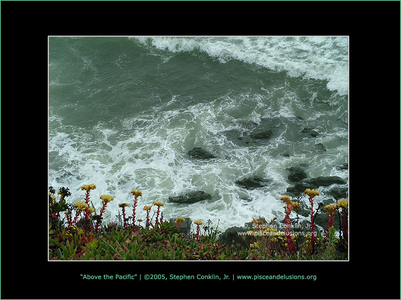 Above the Pacific, by Stephen Conklin, Jr. - www.pisceandelusions.org