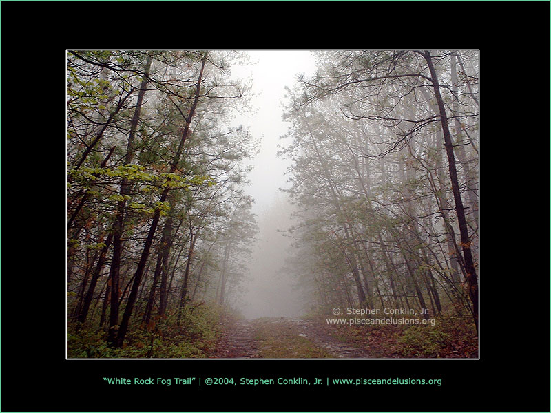 White Rock Fog Trail, by Stephen Conklin, Jr. - www.pisceandelusions.org - South Mountain, White Rock Acres