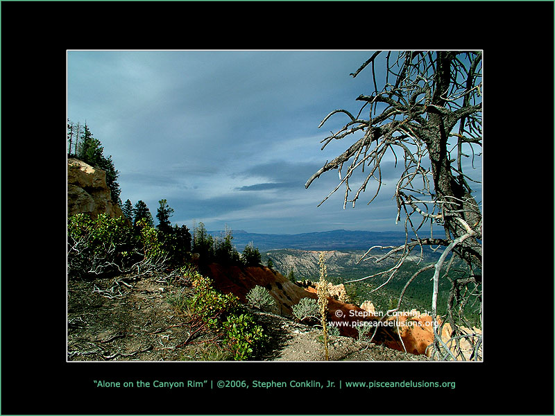 Alone on the Canyon Rim at Bryce Canyon, by Stephen Conklin, Jr. - www.pisceandelusions.org