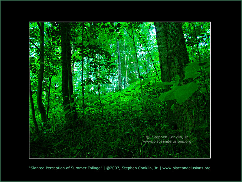 Slanted Perception of Summer Foliage, by Stephen Conklin, Jr. - www.pisceandelusions.org