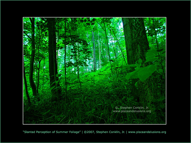 Slanted Perception of Summer Foliage, by Stephen Conklin, Jr. - www.pisceandelusions.org