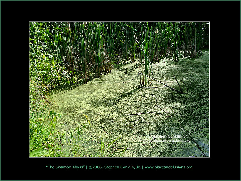 The Swampy Abyss, by Stephen Conklin, Jr. - www.pisceandelusions.org