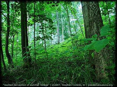 Slanted Perceptions of Summer Foliage, by Stephen Conklin, Jr., pisceandelusions.org