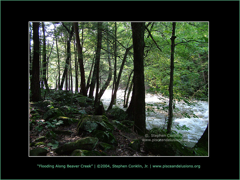 Flooding Along Beaver Creek, by Stephen Conklin, Jr. - www.pisceandelusions.org