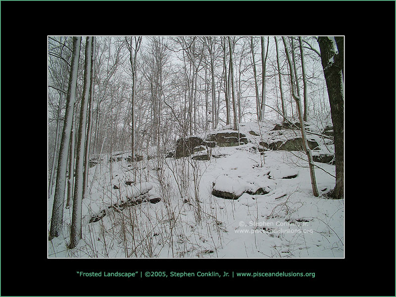 Frosted Landscape, by Stephen Conklin, Jr. - www.pisceandelusions.org