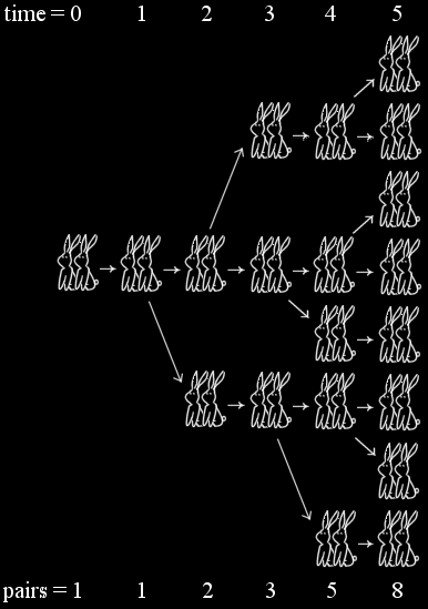 rabbits, fibbonacci example