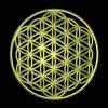 Flower of Life