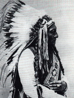 sitting bull