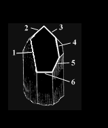 six sided crystal